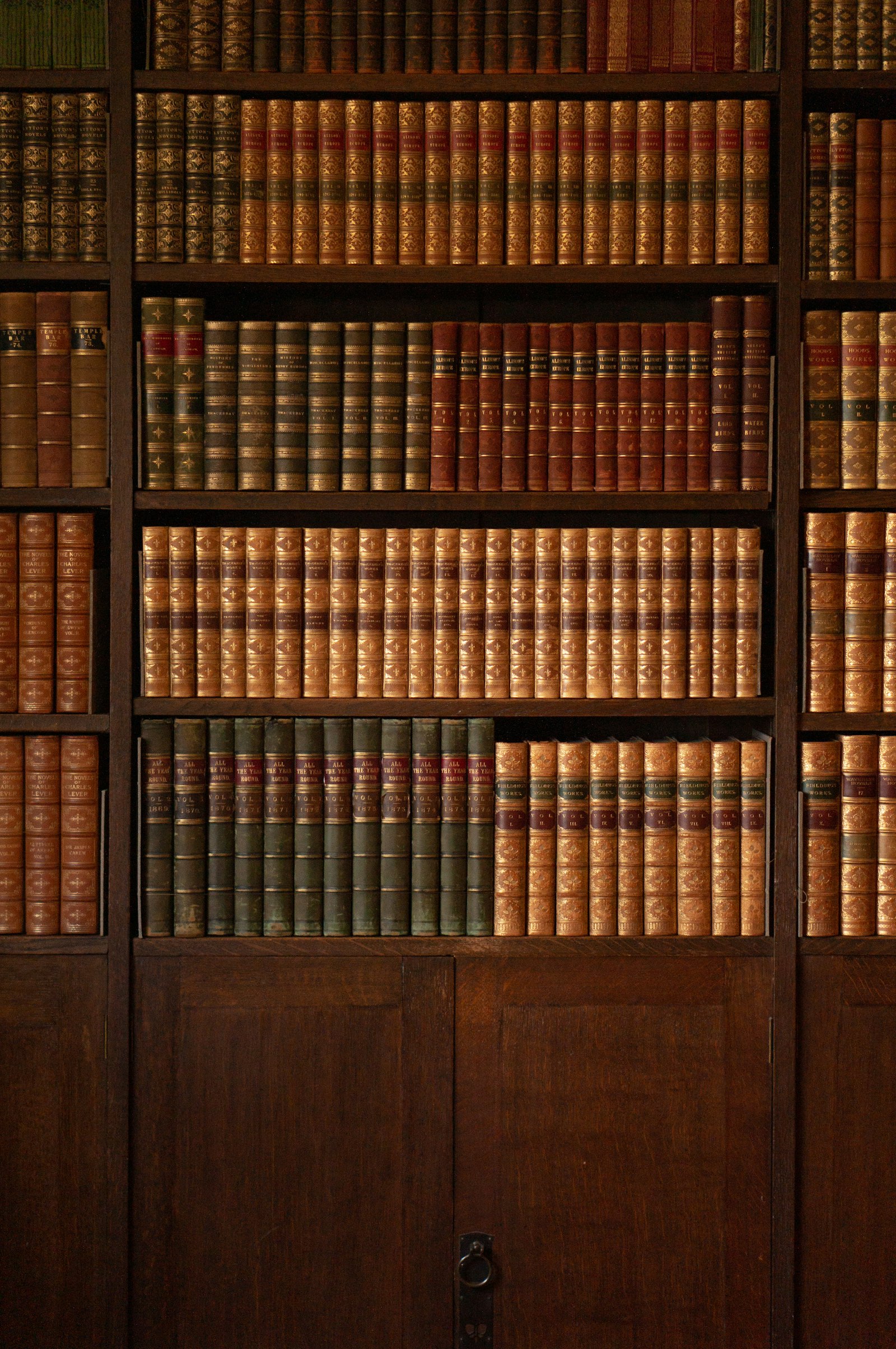 Rows of leather-bound law books on warm wooden shelves